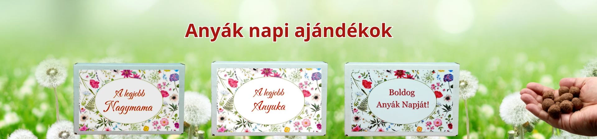 ZümiShop.hu-ajándék webshop