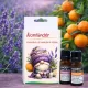 Bombur Álomtündér alvás segítő illóolaj doboz - levendula és mandarin illóolaj válogatás - Zümishop