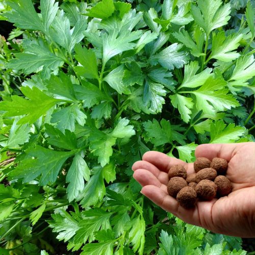 Zümi Nagyi kertje viráglabda mix