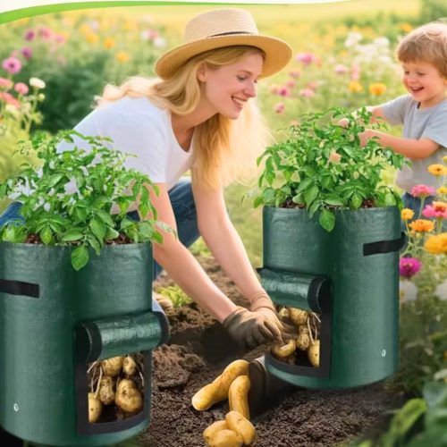 Burgonya termesztő zsák