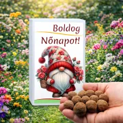 Nőnapi kertészeti ajándék viráglabdákból - 12 db-os feliratos díszdoboz - Zümishop