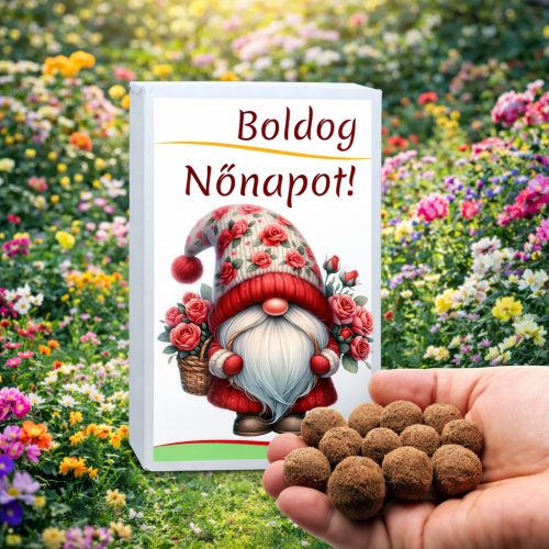 Nőnapi kertészeti ajándék viráglabdákból - 12 db-os feliratos díszdoboz - Zümishop