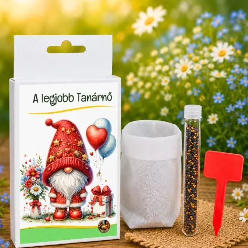 A legjobb Tanárnő – Vetőmagdoboz ajándék pedagógusnapra, ballagásra