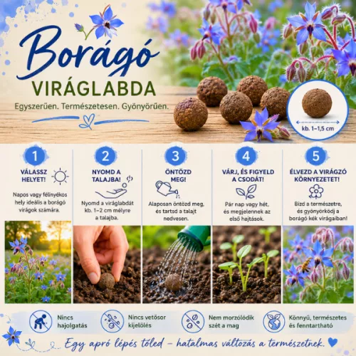 Borago viráglabda 6 db -borágó virágmag