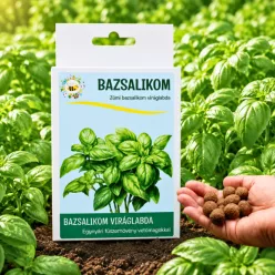 6 db.-os bazsalikom viráglabda -bazsalikom vetőmaggal