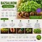 6 db.-os bazsalikom viráglabda -bazsalikom vetőmaggal