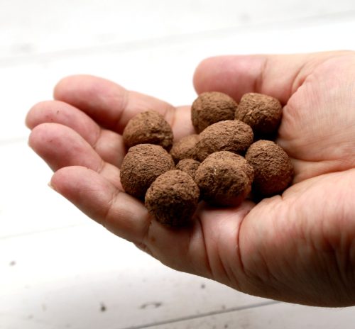 Ehető virágok viráglabda 6 db- Ehető virágmag keverék