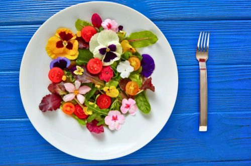 Ehető virágok viráglabda 6 db- Ehető virágmag keverék