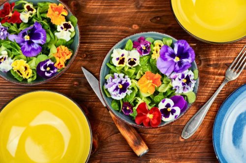 Ehető virágok viráglabda 6 db- Ehető virágmag keverék