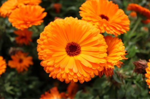 Esküvői feliratos ajándékdoboz viráglabdákkal -esküvői köszönet ajándék