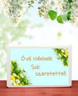  Óvónéninek sok szeretettel  feliratos ajándék doboz választható kémcsőkerttel