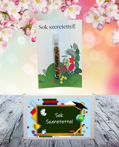  Sok szeretettel  feliratos ajándék doboz választható kémcsőkerttel