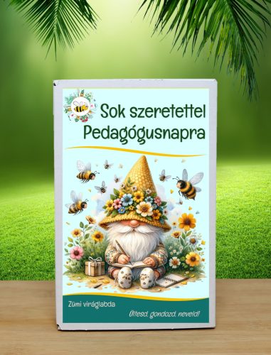 Pedagógusnapi feliratos viráglabda 12 db