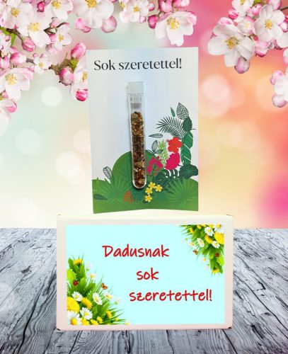 Dadusnak sok szeretettel  feliratos ajándék doboz választható kémcsőkerttel