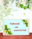 Dadusnak sok szeretettel  feliratos ajándék doboz választható kémcsőkerttel
