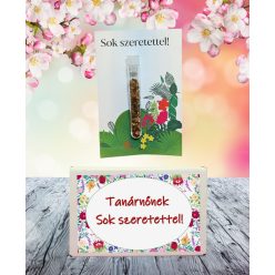   A tanárnőnek sok szeretettel  feliratos ajándék doboz választható kémcsőkerttel