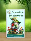 Tanárnőnek Sok szeretettel feliratos vadvirágos viráglabda 6 db