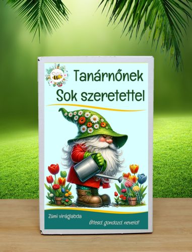 Tanárnőnek Sok szeretettel feliratos vadvirágos viráglabda 6 db