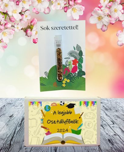 A Legjobb osztályfőnök feliratos ajándék doboz választható kémcsőkerttel