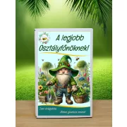   Ajándék ötlet osztályfőnöknek – „Legjobb Osztályfőnök” viráglabda díszdoboz (12 db)
