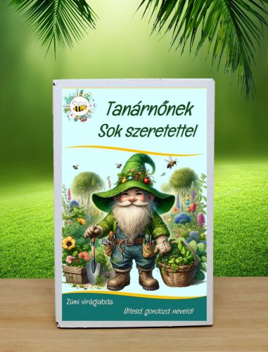 Tanárnőnek sok szeretettel feliratú ajándék doboz választható  12 db viráglabdával (ajándék ötlet óvónőknek)