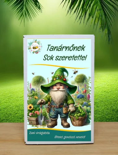 Ajándék tanárnőnek – 12 db vadvirágos viráglabda „Tanárnőnek sok szeretettel” díszdobozban