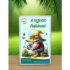   A legjobb Dajkának feliratú  12 db viráglabda!  (Ajándék ötlet Dajkáknak)