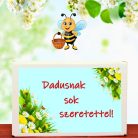 Dadusnak sok szeretettel feliratú viráglabda!  (Ajándék ötlet Dadusoknak)