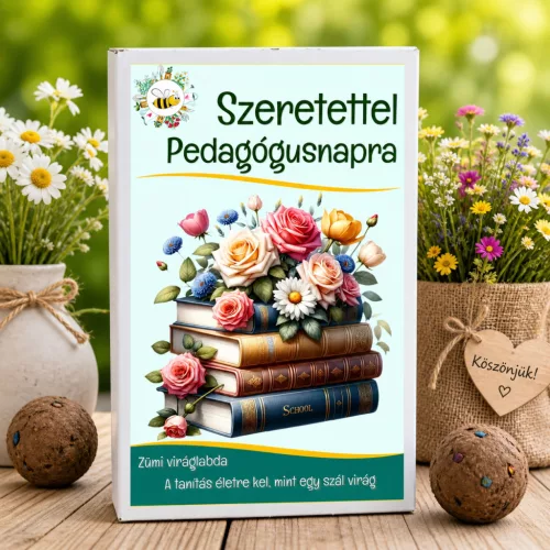 Ajándék pedagógusnapra – „Szeretettel pedagógusnapra” viráglabda ajándékdoboz 6 db viráglabdával