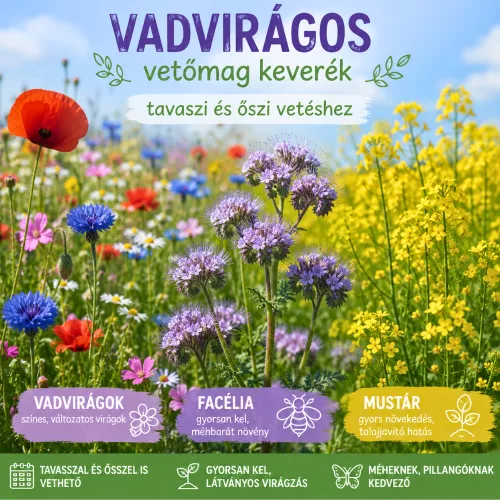 Sok szeretettel pedagógus napra feliratú ajándék doboz 6 db viráglabdával 