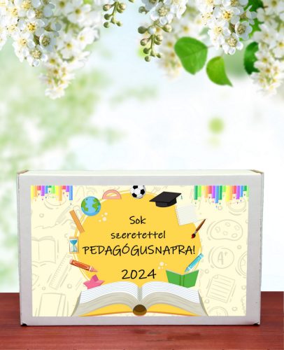 Sok szeretettel pedagógus napra feliratú ajándék doboz választható viráglabdával (ajándék ötlet pedagógusoknak)