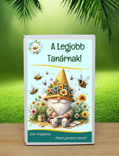 A legjobb tanárnak feliratú viráglabda! 10 db. választható viráglabdával