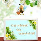 Óvónéninek sok szeretettel feliratú ajándék doboz választható viráglabdával (ajándék ötlet óvónőknek)