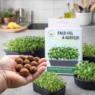 Mikrozöld vetőmag viráglabda – friss mikrozöldek termesztése konyhában, cserépben egyszerűen