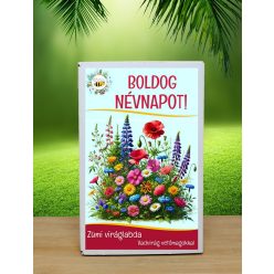   Feliratos   12 db viráglabda vadvirágos vetőmagokkal- Névnapi ajándék ötlet