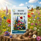 Anyák napi ajándék – vadvirág viráglabda készlet 