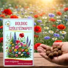 Feliratos 12 db viráglabda vadvirágos vetőmagokkal - egyedi születésnapi ajándék - Zümishop