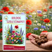 Feliratos 12 db viráglabda vadvirágos vetőmagokkal - egyedi születésnapi ajándék - Zümishop