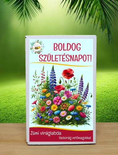 Feliratos 12 db viráglabda vadvirágos vetőmagokkal- Születésnapi ajándék ötlet