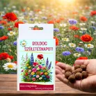 Feliratos 6 db viráglabda vadvirágos vetőmagokkal - kreatív születésnapi ajándék - Zümishop
