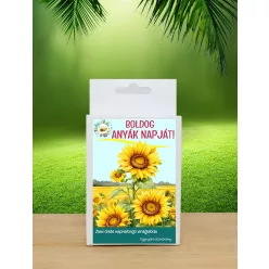   Anyák napi ajándék ötlet – 6 db vadvirágos viráglabda feliratos díszdobozban