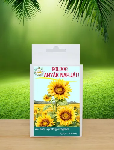 Anyák napi ajándék ötlet – 6 db vadvirágos viráglabda feliratos díszdobozban