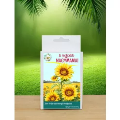   Legjobb Nagymama ajándék – 6 db vadvirágos viráglabda feliratos díszdobozban