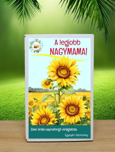 Legjobb Nagymama  feliratos  12 db viráglabda óriás napraforgó vetőmagokkal- Anyák napi ajándék ötlet