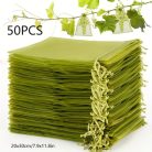 Gyümölcsvédő hálós zöld zsákok – légáteresztő zsák fedők és növénytámogató háló, 50 db-os csomag (15x20 cm)