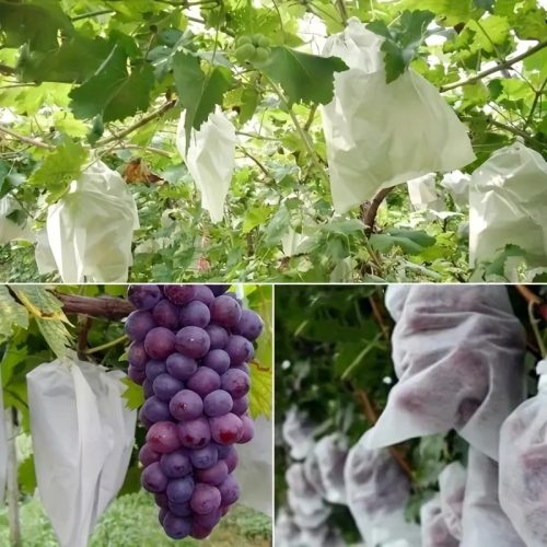 Gyümölcsvédő hálós zsákok – légáteresztő zsák fedők és növénytámogató háló, 10 db-os csomag (20×30 cm)