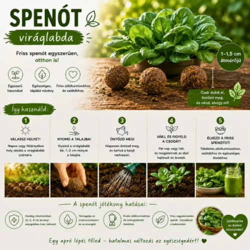Spenót viráglabda 6 db.-os  spenót vetőmagokkal