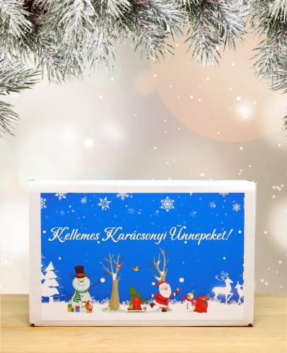 Karácsonyi feliratos doboz választható kémcsőkerttel