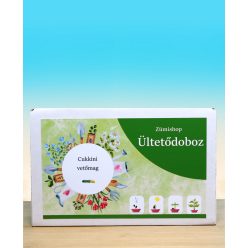 Cukkini vetőmagos ültetődoboz 