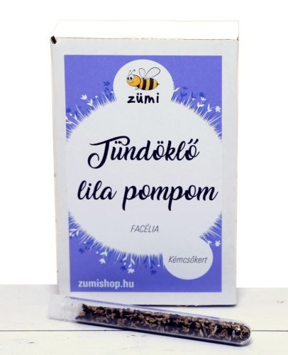 Tündöklő lila pompom kémcsőkert (facélia vetőmag)